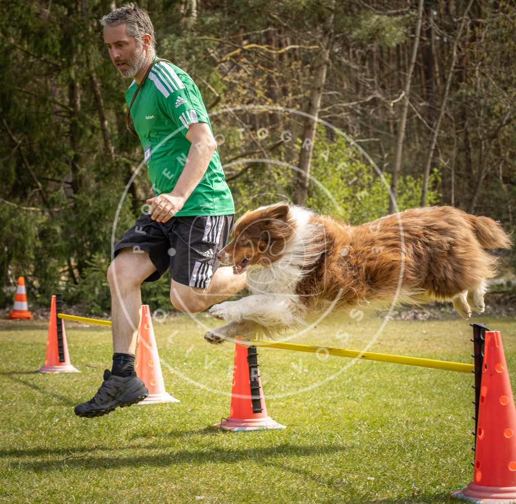 Pfotenfotografie_DV3A6673 | Hundefotografie, Tierfotograf, Pfotenfotografie, Fotoshooting Hund, Hunde Portrait, Hundesport, Hundeportraits, Heideshooting, Hunde, Sportfotograf, Hundefotograf, Turnierhundsport, THS,  - Realisiert mit Pictrs.com