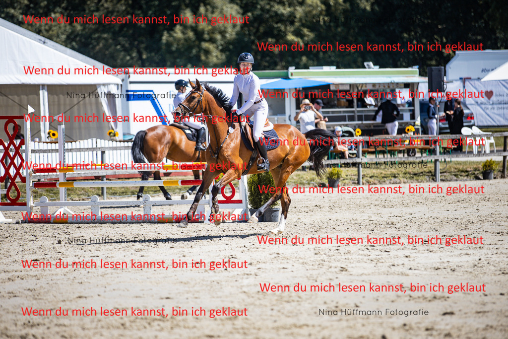 BK1A5281 | Turnierbilder Turnierfotos Nina Hüffmann Turnierfotografie Pferdefotografie Tierzeichnung Haustierzeichnung Pferdezeichnung Hundezeichnung Videograf  - Realisiert mit Pictrs.com