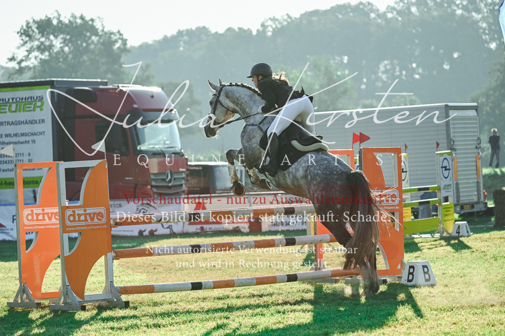 DSC_4161 | Pferde- und Turnierfotografie in Westsachsen. Pferdeportraits, Auftragszeichnungen und intuitive Kunst.