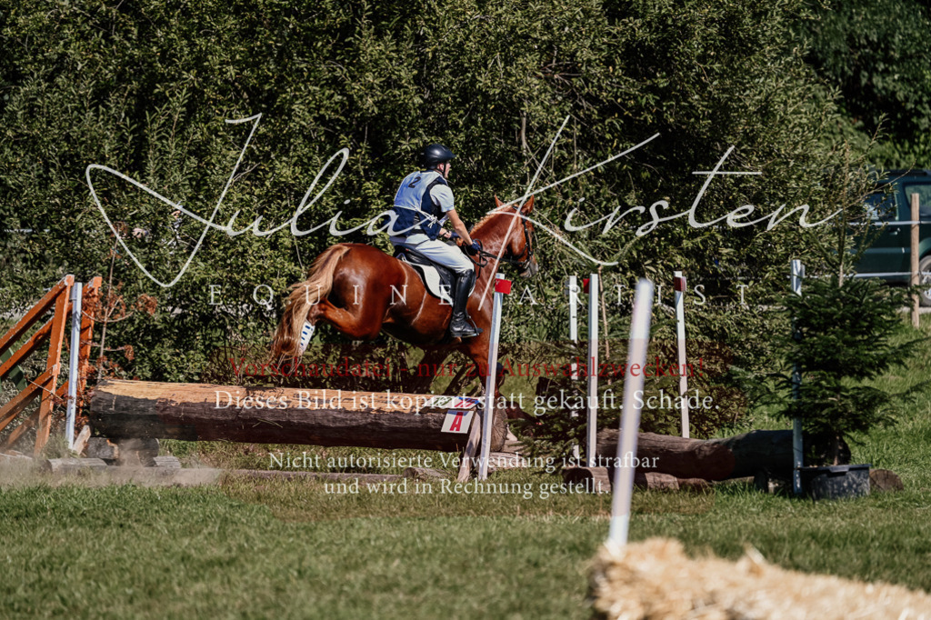 DSC_1354 | Pferde- und Turnierfotografie in Westsachsen. Pferdeportraits, Auftragszeichnungen und intuitive Kunst.