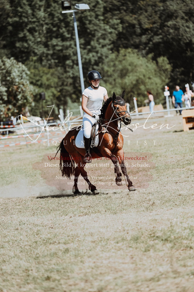 DSC_9949 | Pferde- und Turnierfotografie in Westsachsen. Pferdeportraits, Auftragszeichnungen und intuitive Kunst.