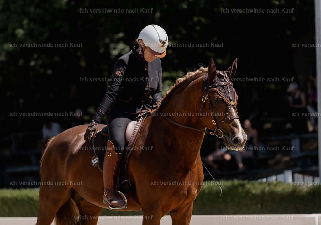 WE_DR_16_SinaFilmArt_IN02953 | working equitationturnier fotograf videograf stoibphotography marixx film working equitation deutschland reitsport turnierfotografie eventfotografie equestrian events