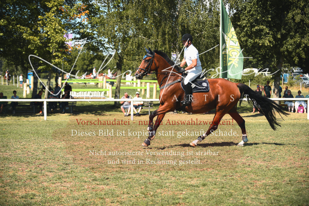 DSC_7113 | Pferde- und Turnierfotografie in Westsachsen. Pferdeportraits, Auftragszeichnungen und intuitive Kunst.