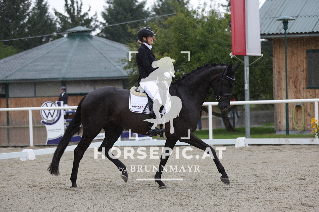 0P6A0447 | Willkommen bei Brunnmayr - Design & Fotografie – Ihrem Spezialisten für Reitturniere und Pferdeveranstaltungen in Oberösterreich, Salzburg und Bayern! Seit über 17 Jahren sind wir leidenschaftlich dabei.