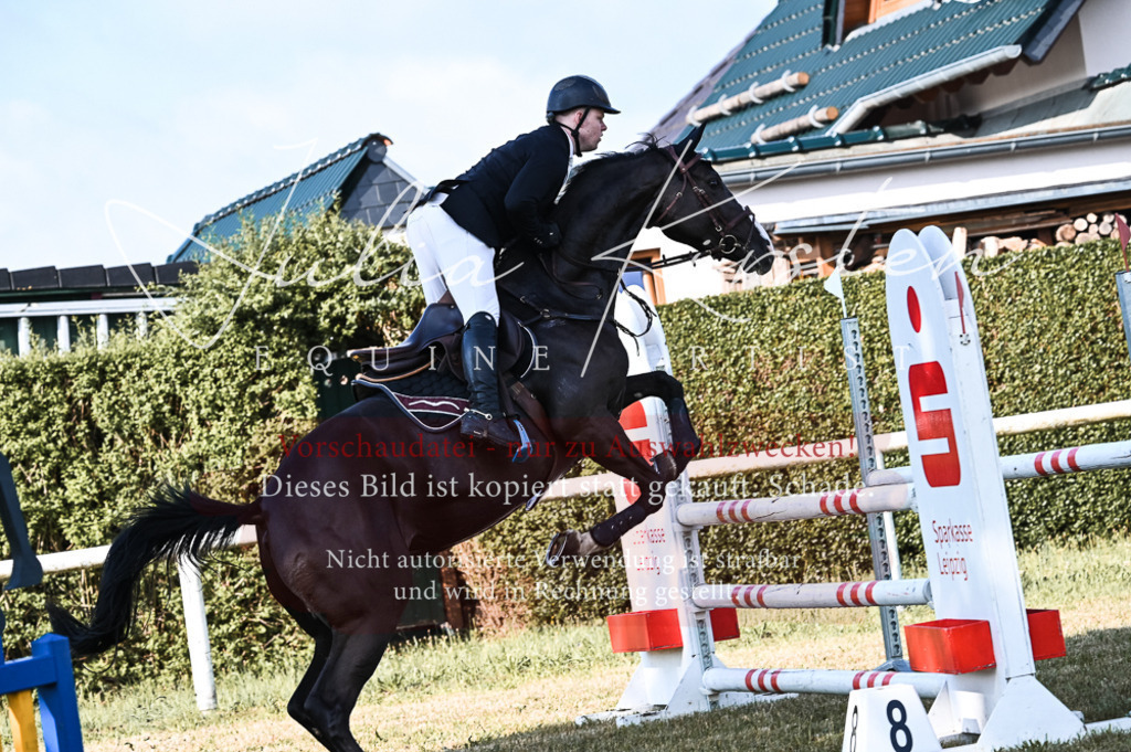 DSC_7541 | Pferde- und Turnierfotografie in Westsachsen. Pferdeportraits, Auftragszeichnungen und intuitive Kunst.