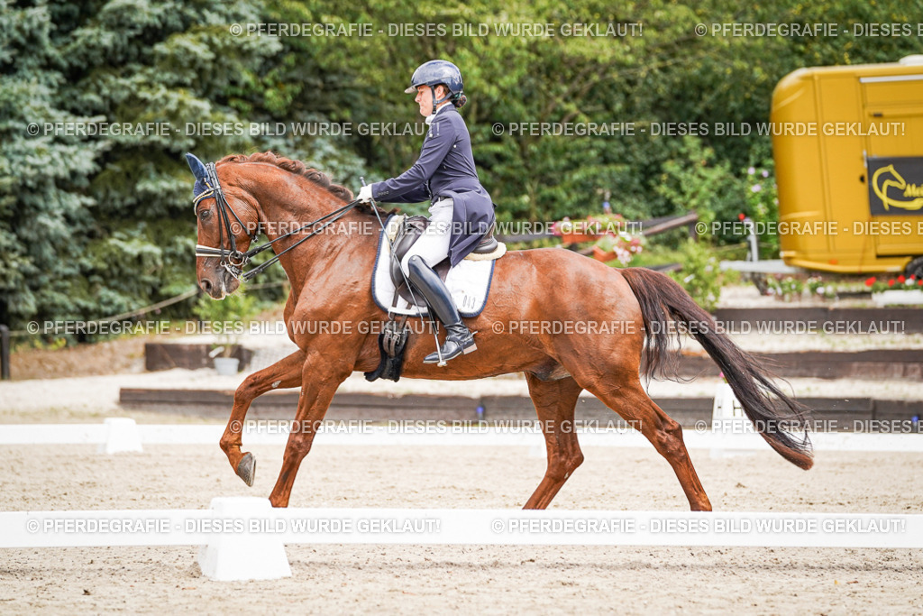 DSC05934 | Pferdegrafie