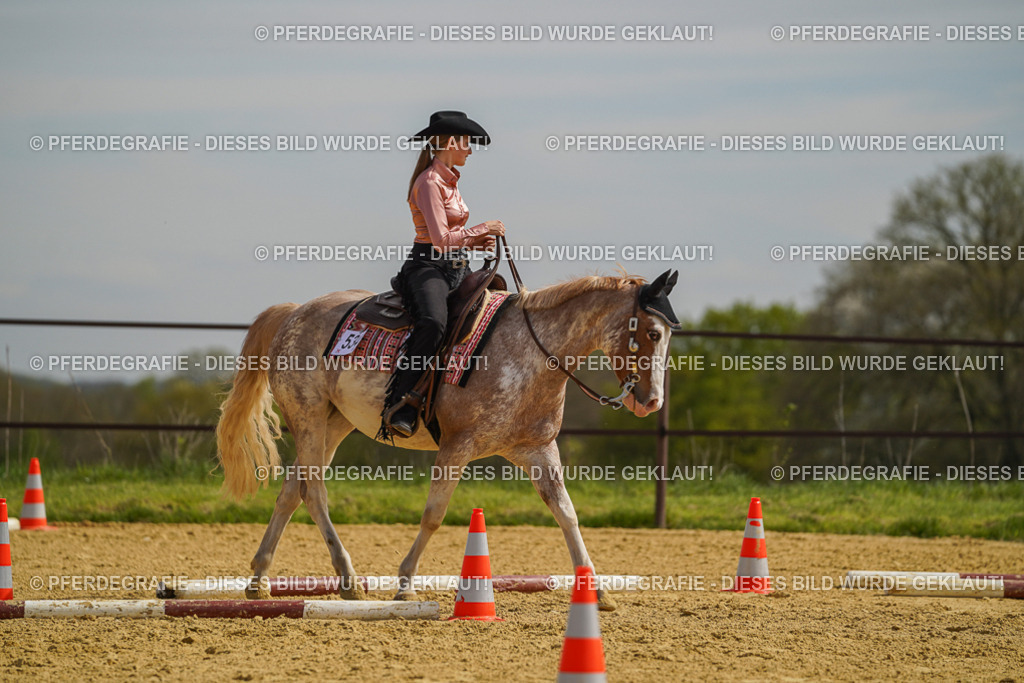 DSC04143 | Pferdegrafie