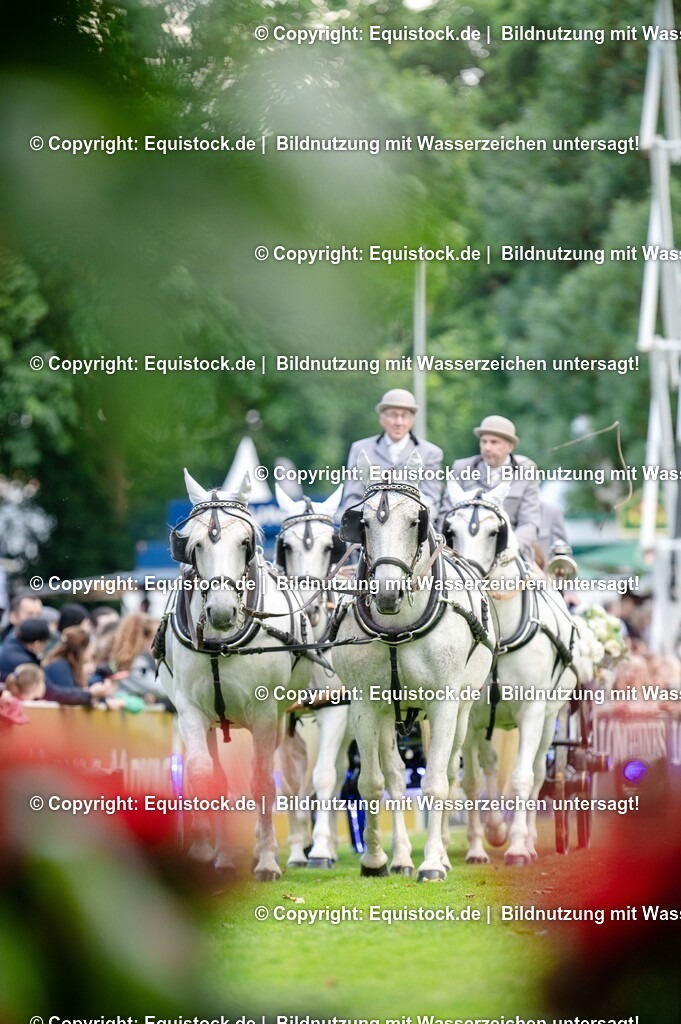 20250606_Lange-Pferdenacht_0162 | Foto: Thomas Hartig