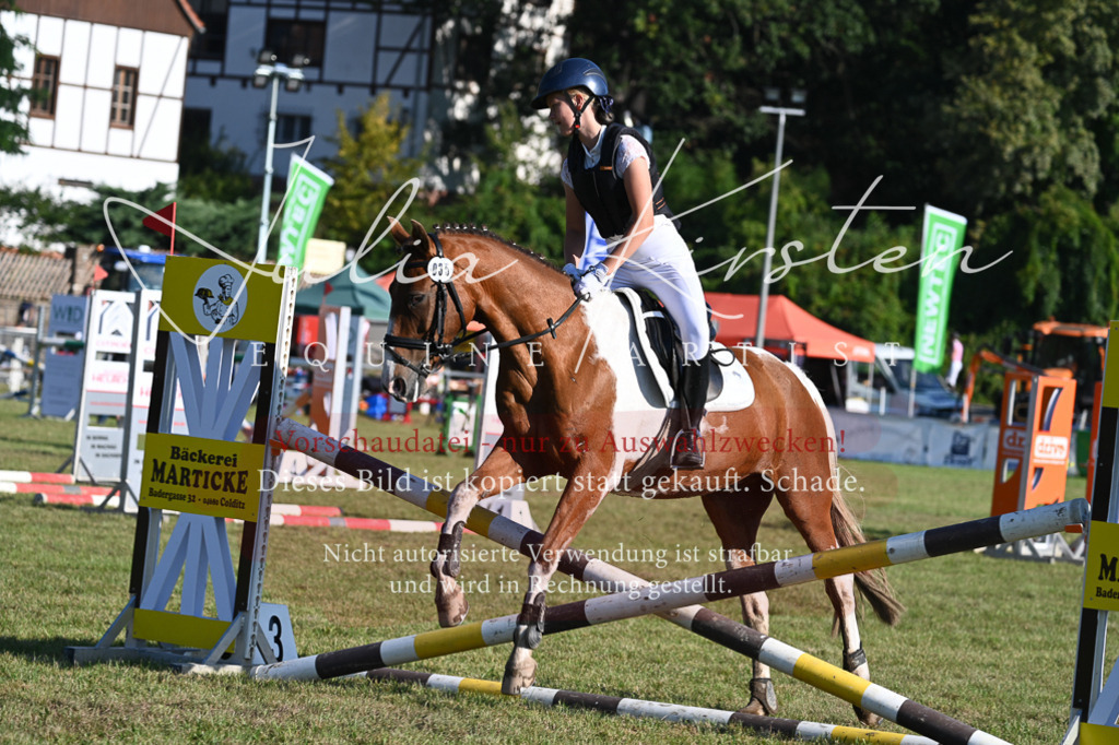 DSC_4893 | Pferde- und Turnierfotografie in Westsachsen. Pferdeportraits, Auftragszeichnungen und intuitive Kunst.