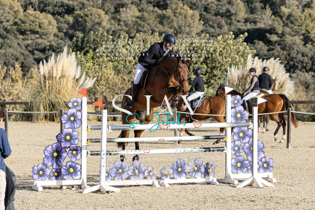 IMG_0359 | s-jay-photography - Realisiert mit Pictrs.com