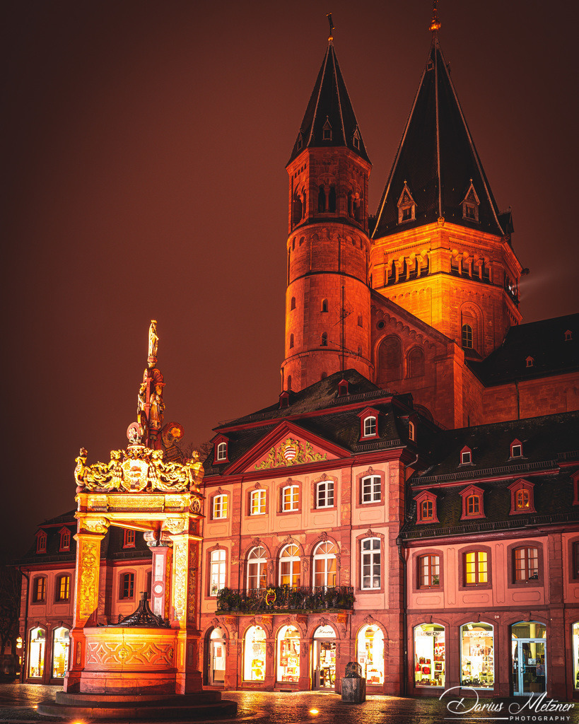 DSC_9429 | Fotografien, Fotos und Bilder aus Mainz, Frankfurt, Wiesbaden und anderen Orten auf der Welt - Fotografiert von Darius Metzner