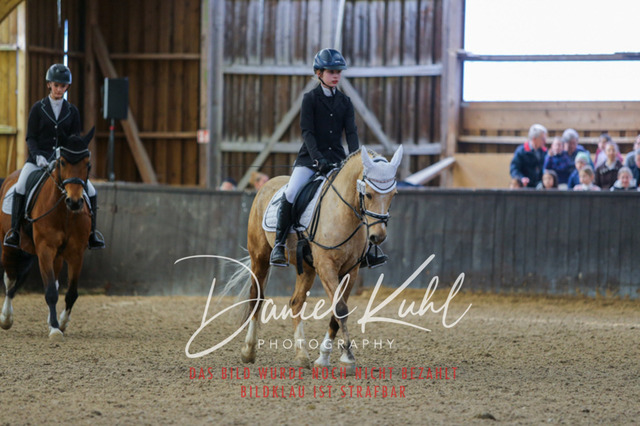 IMG_0837 | Turniersportfotografie; Pferdefotografie; Dressurfotografie