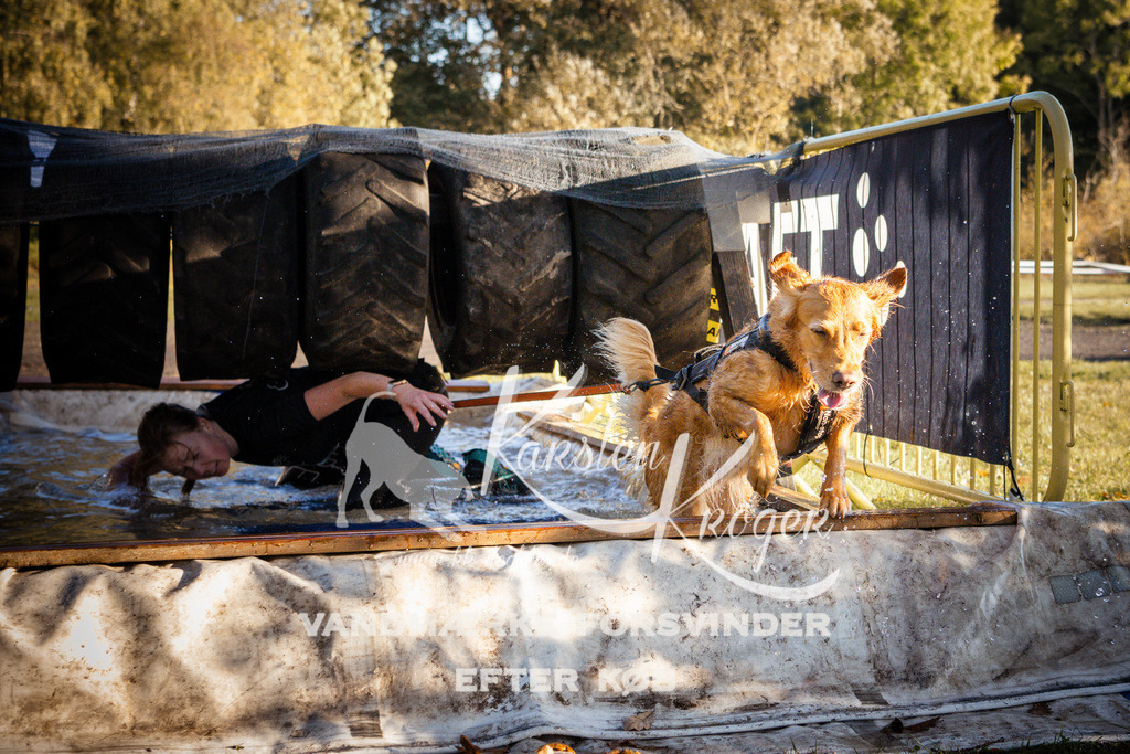 0911_ZZ90178 | kk-dogfotos