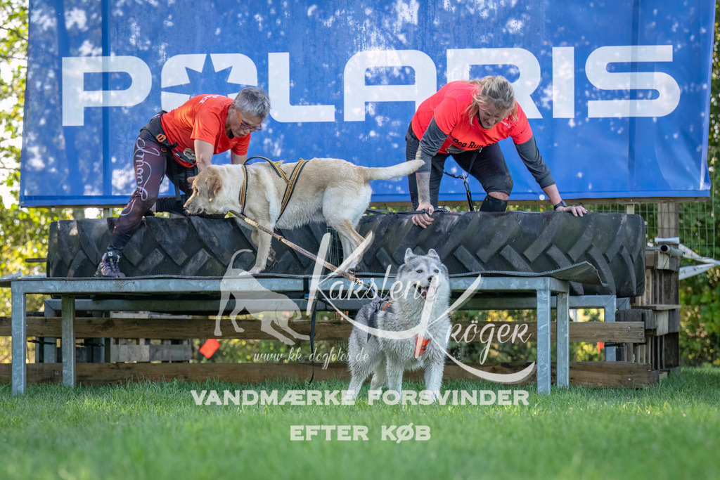 1038--2 | kk-dogfotos