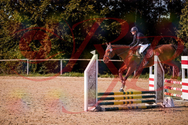 2026_10_03_Siefer-Hof_155618_Z81_75771643 | Professionelle Reitsport-, Turnier- und Eventfotografie von Robert Broda. Galerien mit ausgewählten und bearbeiteten Bildern direkt online ansehen und bestellen.