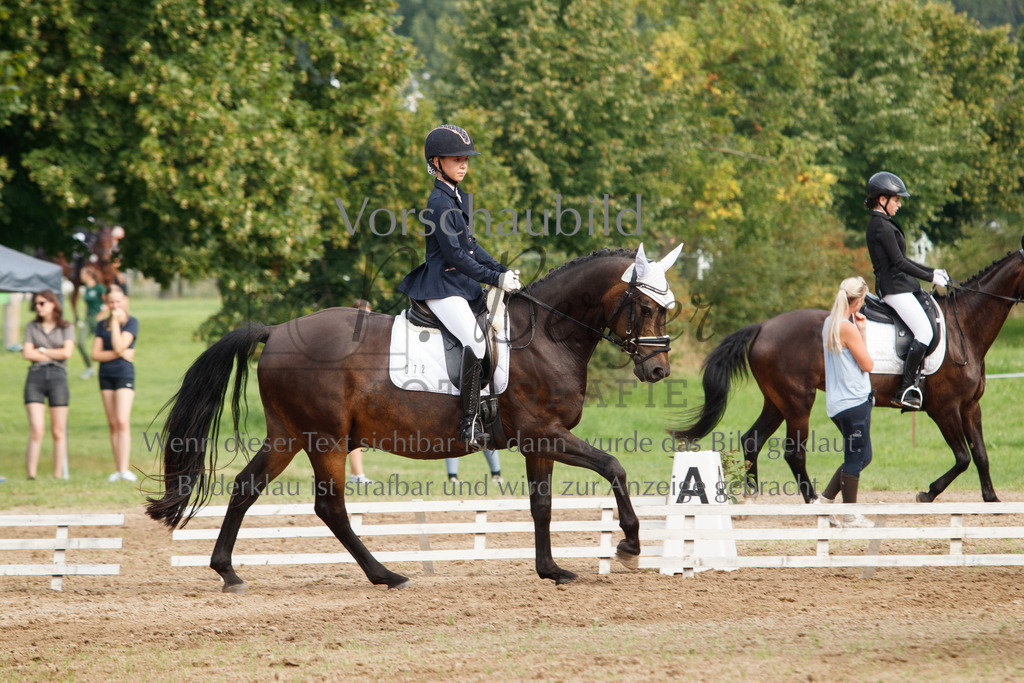 IMG_2319 | P. Berger Fotografie - Realisiert mit Pictrs.com