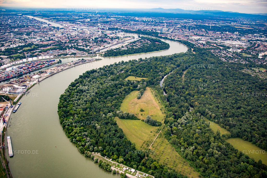 Luftbild: Reißinsel im Ortsteil Niederfeld in Mannheim im Bundesland Baden-Württemberg in Deutschland. Foto: IMG_090997.jpg vom 04.07.2016 durch Werner Riehm/FLY-FOTO.de