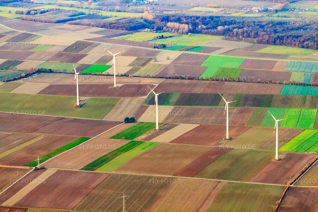Luftbild: Windpark Minfeld in Minfeld im Bundesland Rheinland-Pfalz in Deutschland. Foto: IMG_22758.jpg vom 19.11.2009 durch Werner Riehm/FLY-FOTO.de