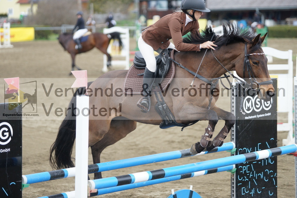 DSC01090 | equestrian-live-com