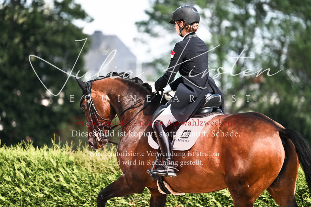 DSC_3042 | Pferde- und Turnierfotografie in Westsachsen. Pferdeportraits, Auftragszeichnungen und intuitive Kunst.