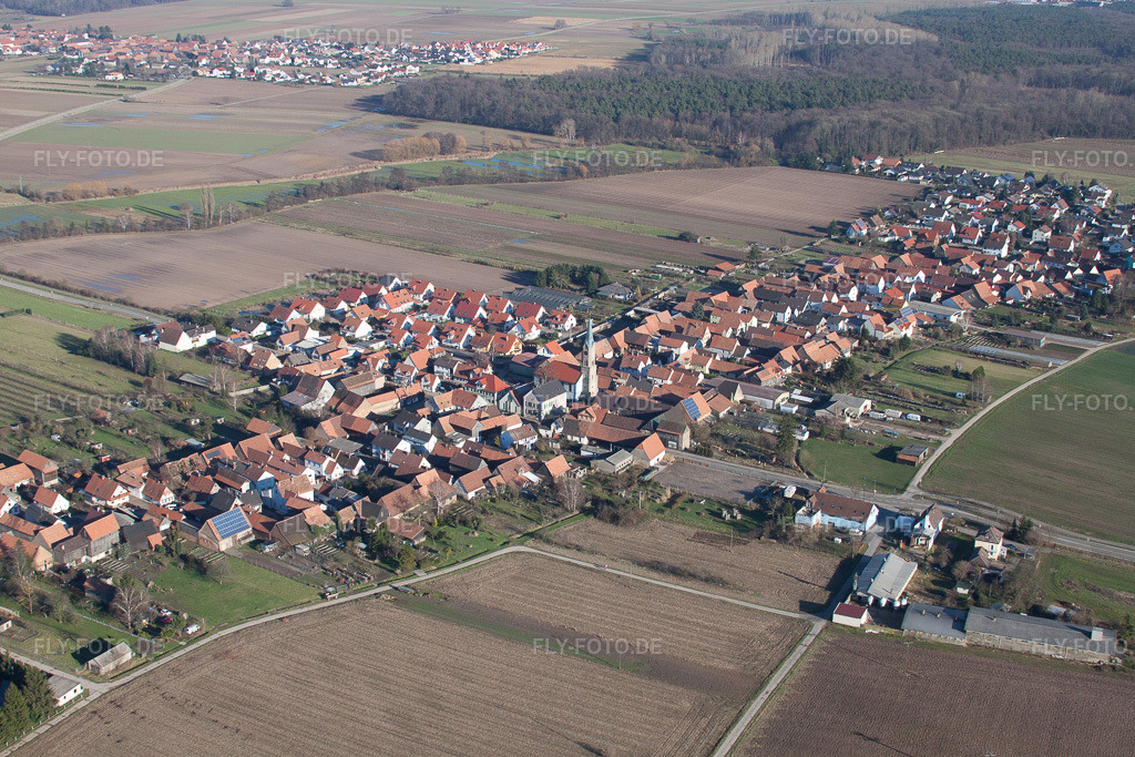 Luftbild: Ortsansicht von Westen in Erlenbach bei Kandel im Bundesland Rheinland-Pfalz in Deutschland. Foto: IMG_37028.jpg vom 16.01.2011 durch Werner Riehm/FLY-FOTO.de