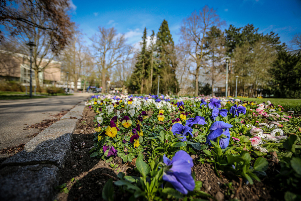 A-Willdoner_20240317_135 | 17.03.24, Wels, ALOHA WELS HALBMARATHON, picture shows: 
Photo: WAPICS / Andreas Willdoner