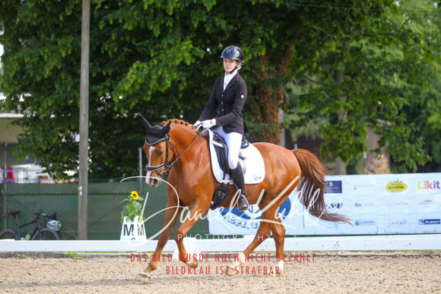 DKP43033 | Turniersportfotografie; Pferdefotografie; Dressurfotografie