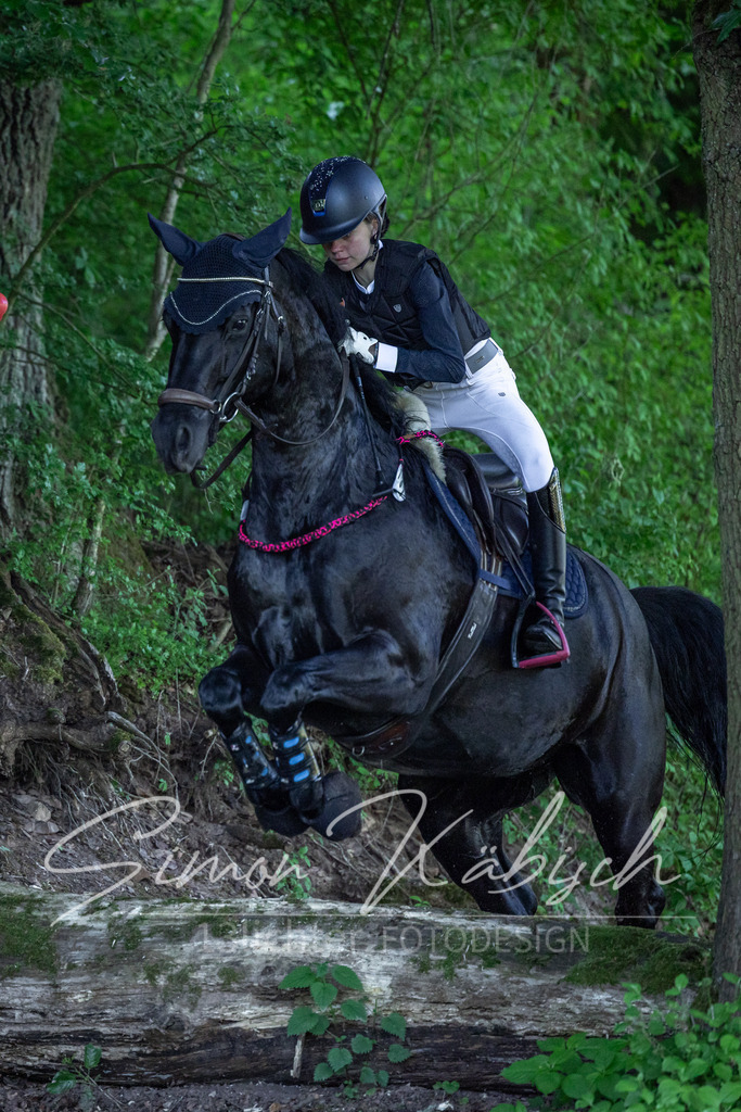 20260523-_3LI5939 | Tierfotografie Pferde, Hunde, Katzen, Haustiere.
Turnierfotografie Reitturniere, Reiten, Springreiten, Dressur in Hanau, dem Main-Kinzig-Kreis und dem Rhein-Main- Gebiet um Frankfurt