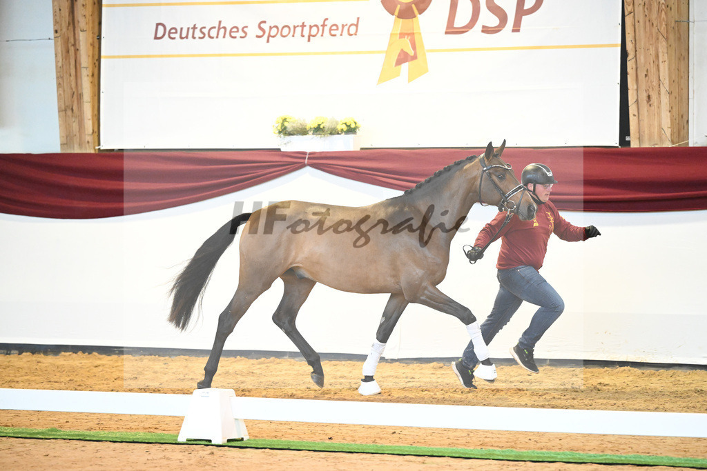 Kat-Nr. 11 v. Borsalino_Koegler u Schuhmacher_66220107 | hf-fotografie - Realisiert mit Pictrs.com