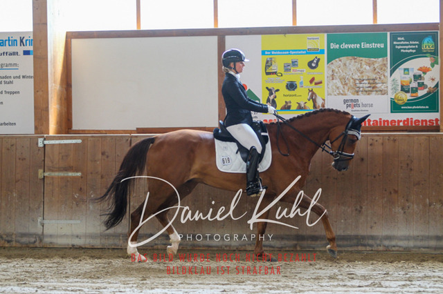 DKP43168 | Turnierfotos kaufen im Webshop von Daniel Kuhl Photography – entdecke professionelle Reitsportfotos aus Turnieren & Events. Hochwertige Turnierbilder online bestellen & sichern. Jetzt Fotos von Reitsportturnieren kaufen!