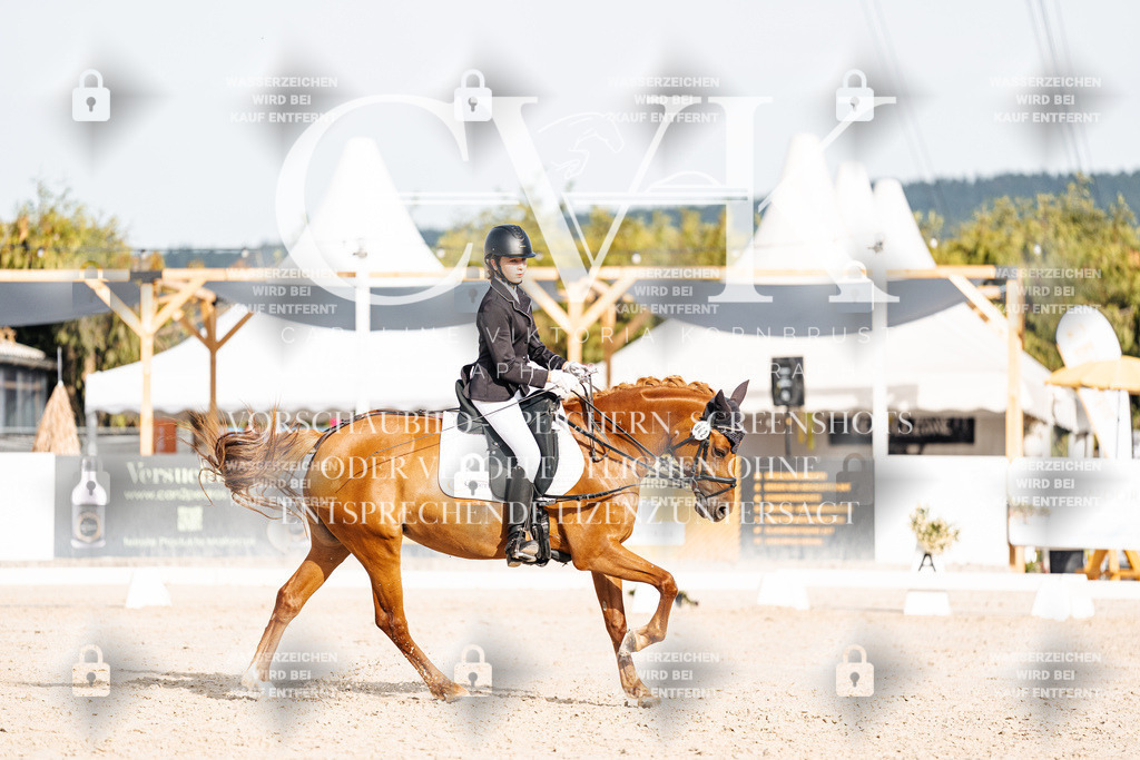 CK904546 | Turnierfotografie Pferdefotografie Trier Rheinland-Pfalz Pferdesport Reitsport Tierfotografie Sportfotografie Pferdevideo Pferdevideografie Equestrianvideography equestrianphotography  - Realisiert mit Pictrs.com