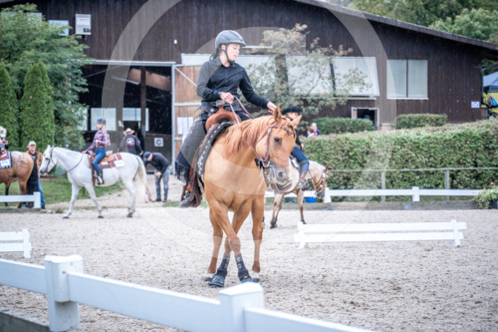 HEB07330 | BS-foto