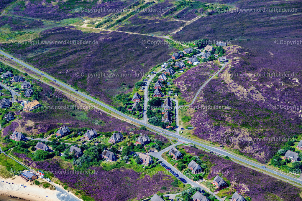 Sylt_List_Mövengrund_Strasse_Heideblüte_ELS_3995130825 | LIST 13.08.2025 Ferienhaus Anlage " Heidesiedlung " in List auf der Insel Sylt im Bundesland Schleswig-Holstein, Deutschland. // Holiday house plant of the park " Heidesiedlung " in List at the island Sylt in the state Schleswig-Holstein, Germany. Foto: Martin Elsen