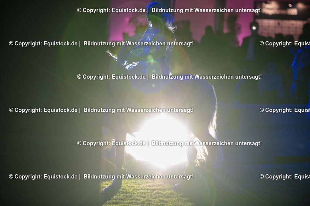 20250606_Lange-Pferdenacht_1492 | Foto: Thomas Hartig