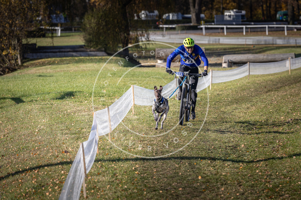 CaniXpix_DV3A3523 | Hundefotografie, Tierfotograf, Pfotenfotografie, Fotoshooting Hund, Hunde Portrait, Hundesport, Hundeportraits, Heideshooting, Hunde, Sportfotograf, Hundefotograf, Turnierhundsport, THS,  - Realisiert mit Pictrs.com