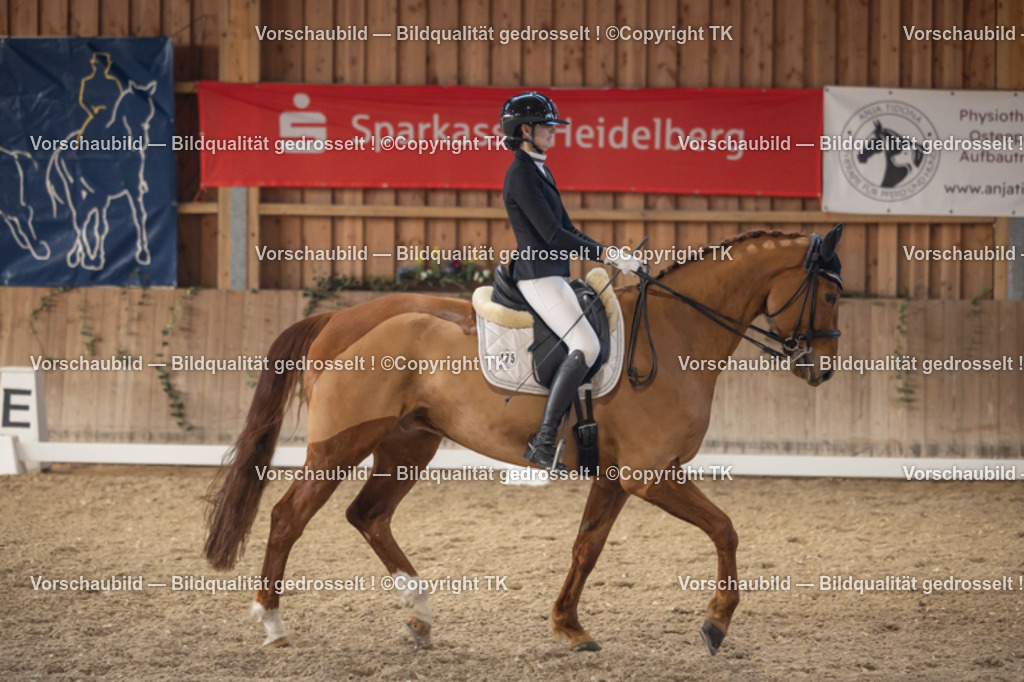 _D5A2843 | Emotionale Pferde- & People-Fotografie rund um Heidelberg, Leimen & Umgebung. Natürliche Fotos von Pferd, Mensch & Familie. Jetzt Termin sichern!