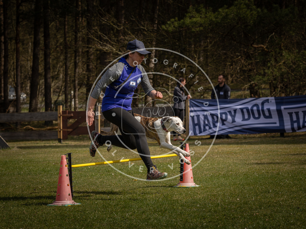 Pfotenfotografie_DV3A3754 | Hundefotografie, Tierfotograf, Pfotenfotografie, Fotoshooting Hund, Hunde Portrait, Hundesport, Hundeportraits, Heideshooting, Hunde, Sportfotograf, Hundefotograf, Turnierhundsport, THS,  - Realisiert mit Pictrs.com
