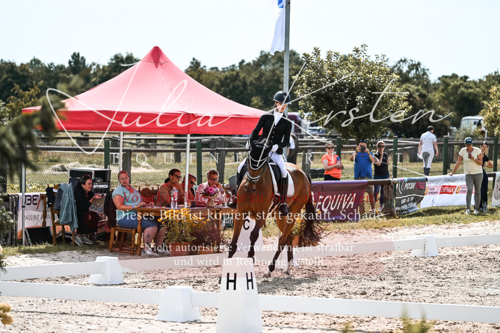 DSC_5159 | Pferde- und Turnierfotografie in Westsachsen. Pferdeportraits, Auftragszeichnungen und intuitive Kunst.