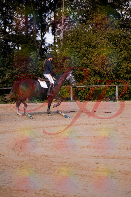 2026_10_03_Siefer-Hof_144830_Z81_25864663 | Professionelle Reitsport-, Turnier- und Eventfotografie von Robert Broda. Galerien mit ausgewählten und bearbeiteten Bildern direkt online ansehen und bestellen.