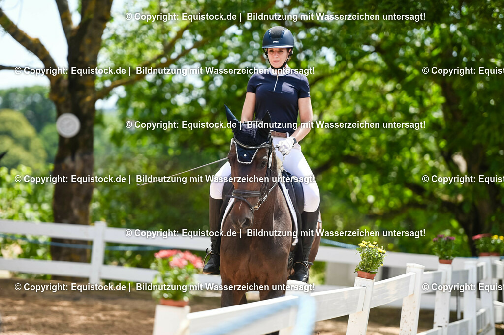 20230715_05_Dressurprüfung Kl.A++_0233 | equistock