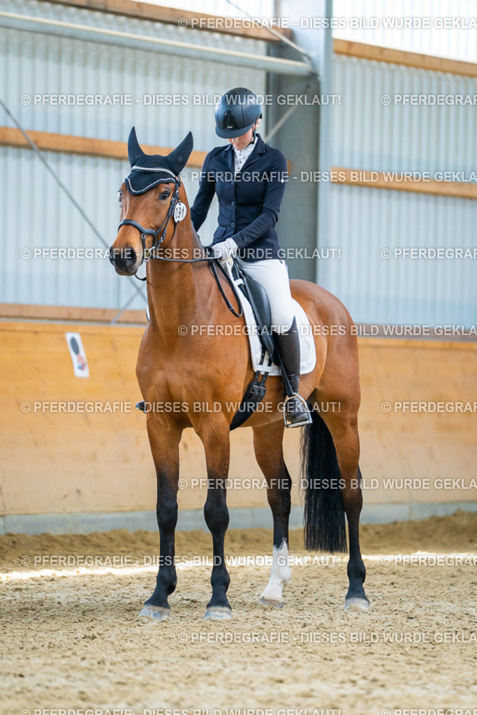 DSC09199 | Pferdegrafie