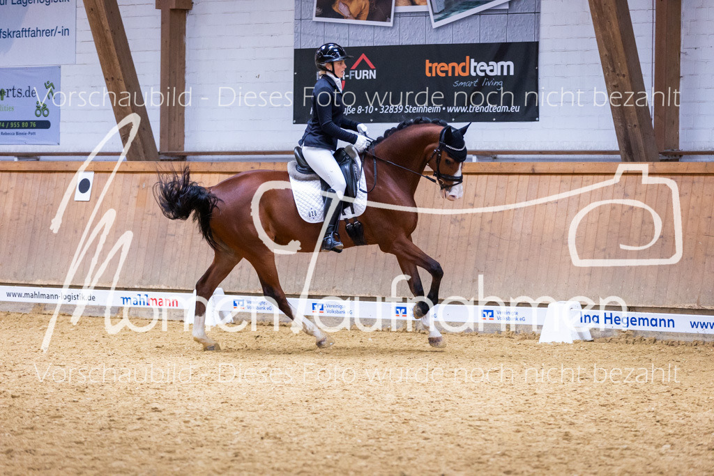 Sth-A-Dre-2St-060 | MomenTaufnahmen Pferdesportfotos