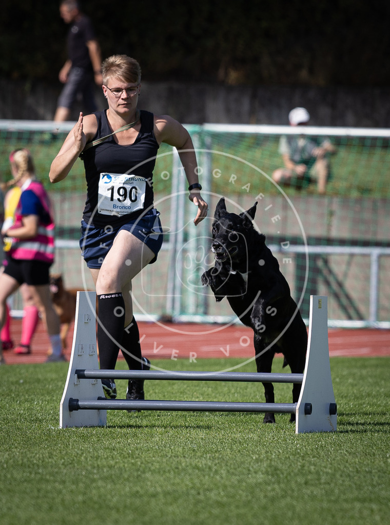 Pfotenfotografie_DV3A0536 | Hundefotografie, Tierfotograf, Pfotenfotografie, Fotoshooting Hund, Hunde Portrait, Hundesport, Hundeportraits, Heideshooting, Hunde, Sportfotograf, Hundefotograf, Turnierhundsport, THS,  - Realisiert mit Pictrs.com