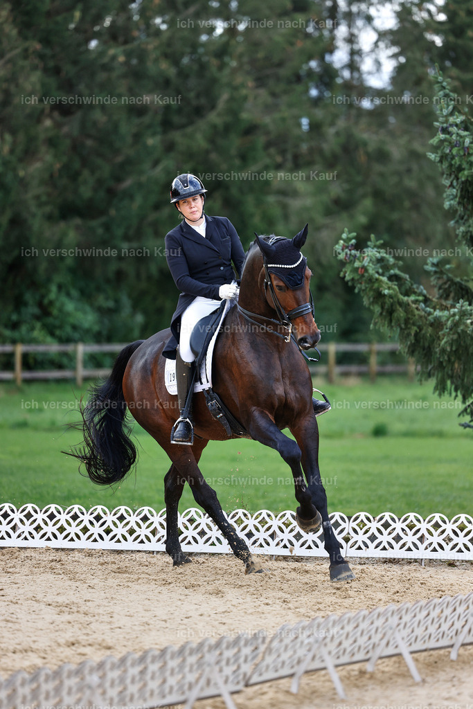 10-193-ST.GEORG SPECIAL -StoibPH-3251 | working equitationturnier fotograf videograf stoibphotography marixx film working equitation deutschland reitsport turnierfotografie eventfotografie equestrian events