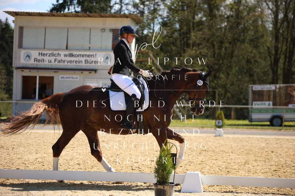 IMGT2589 | pl-fotografie