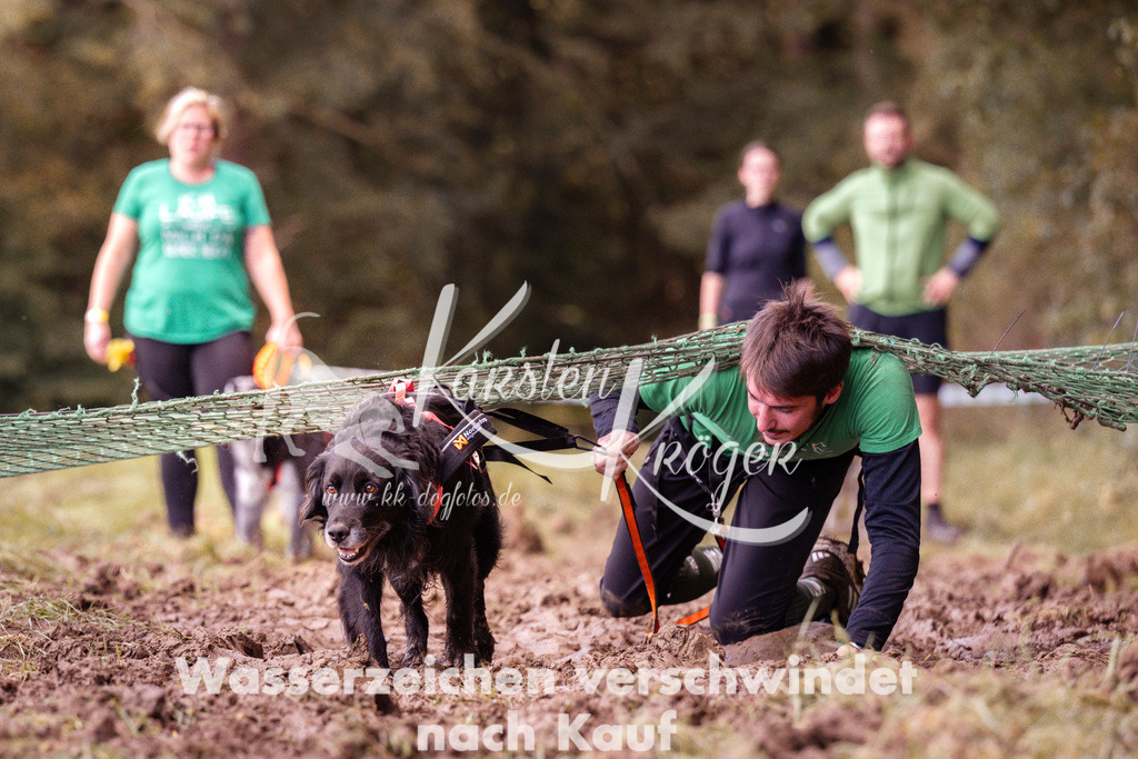 1217_ZZ93082 | kk-dogfotos