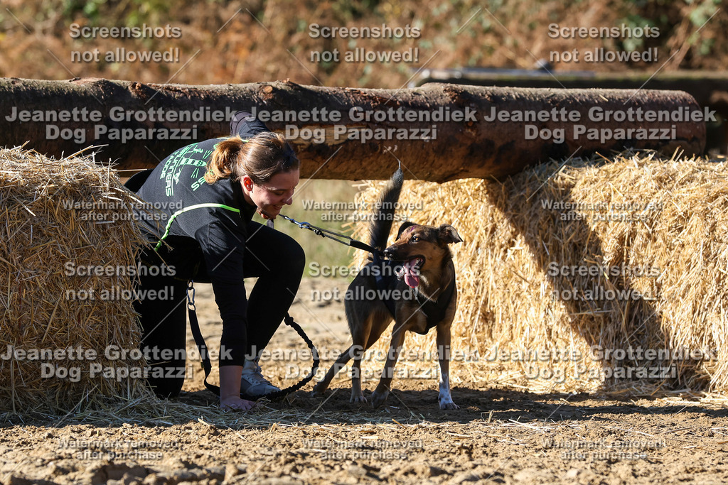 Dog Paparazzi - Strongdog 10-25-2675 | Dog Paparazzi Jeanette Grottendiek Fotografie & Videografie - Realisiert mit Pictrs.com