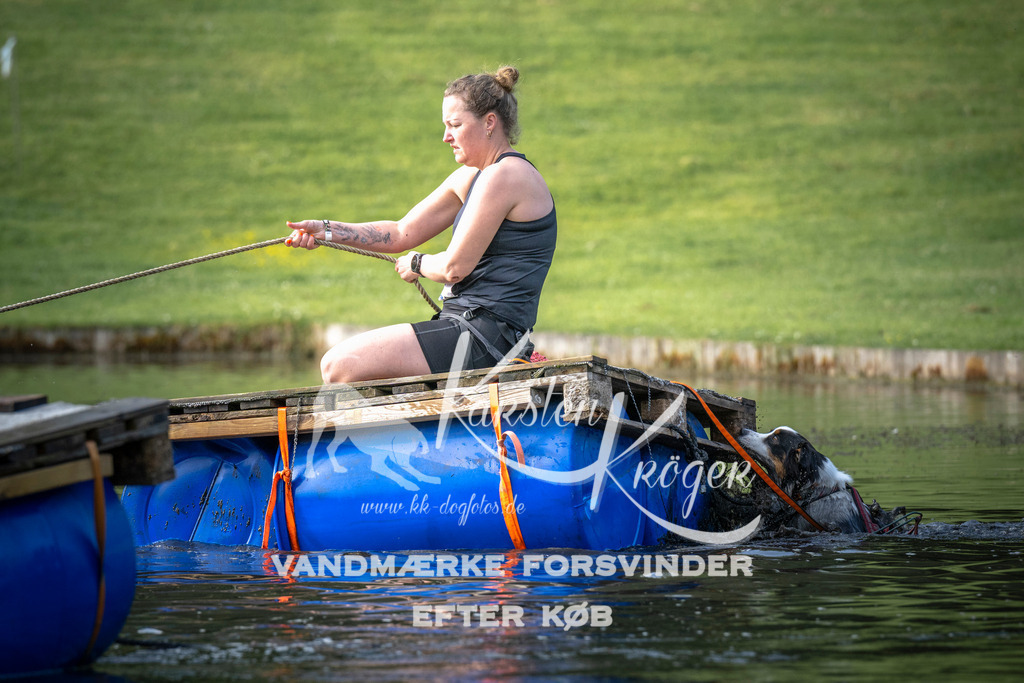 _ZZ938010708 | kk-dogfotos