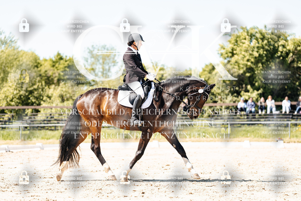 CK905438 | Turnierfotografie Pferdefotografie Trier Rheinland-Pfalz Pferdesport Reitsport Tierfotografie Sportfotografie Pferdevideo Pferdevideografie Equestrianvideography equestrianphotography  - Realisiert mit Pictrs.com
