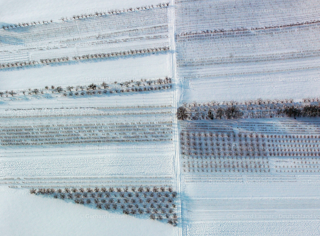 9300158 | Winterliche Baumstrukturen bei Heilbronn